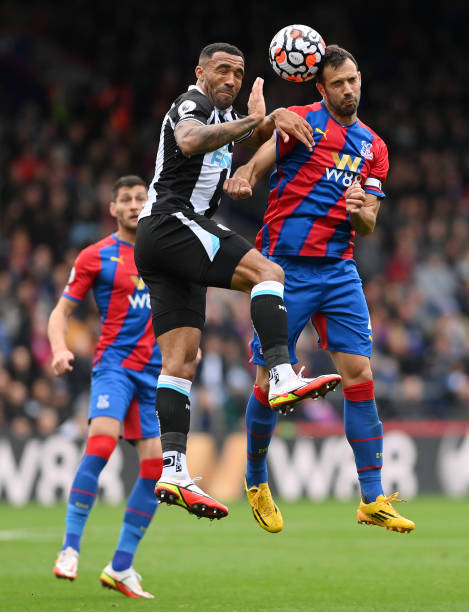 球赛场上细 球赛场上细